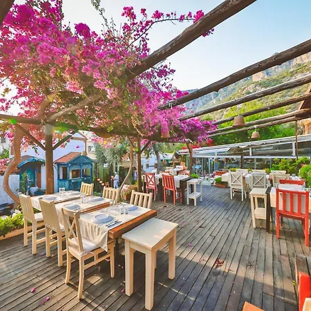 Cinar Butik * カシュ